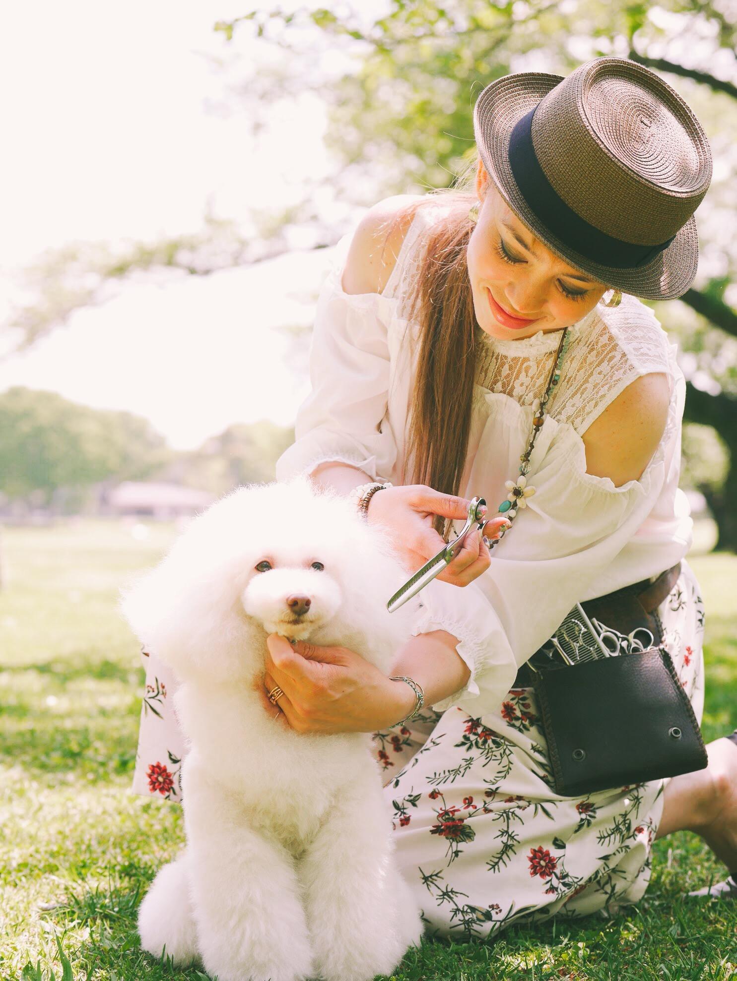 doggroomer satomi