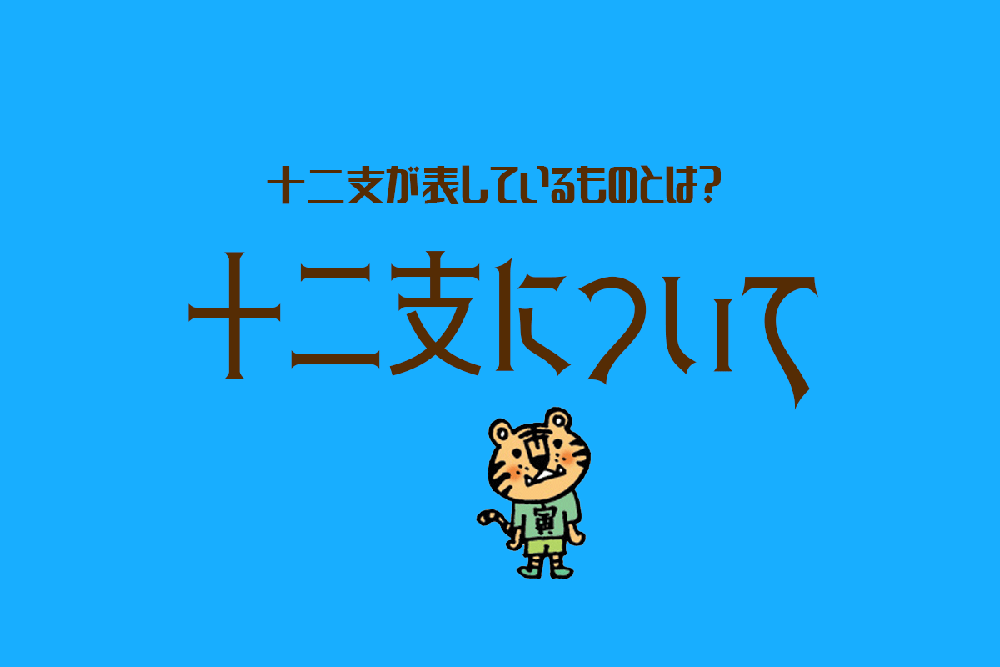 MOSH: 四柱推命講座ー初級〜中級レッスン | 大橋 麗菜