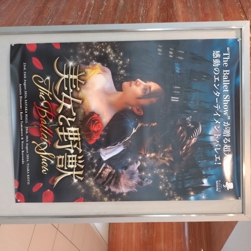 slcl.shop / 美女と野獣-THE BALLET SHOW- 公演DVD