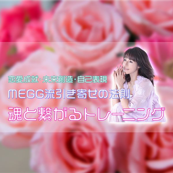 Megg流引き寄せの法則 魂と繋がるトレーニング 宇宙と繋がり望む未来を創る Mosh