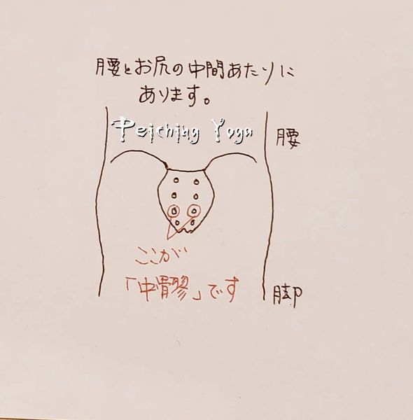 妊活のツボ 中髎 Peiching Yoga