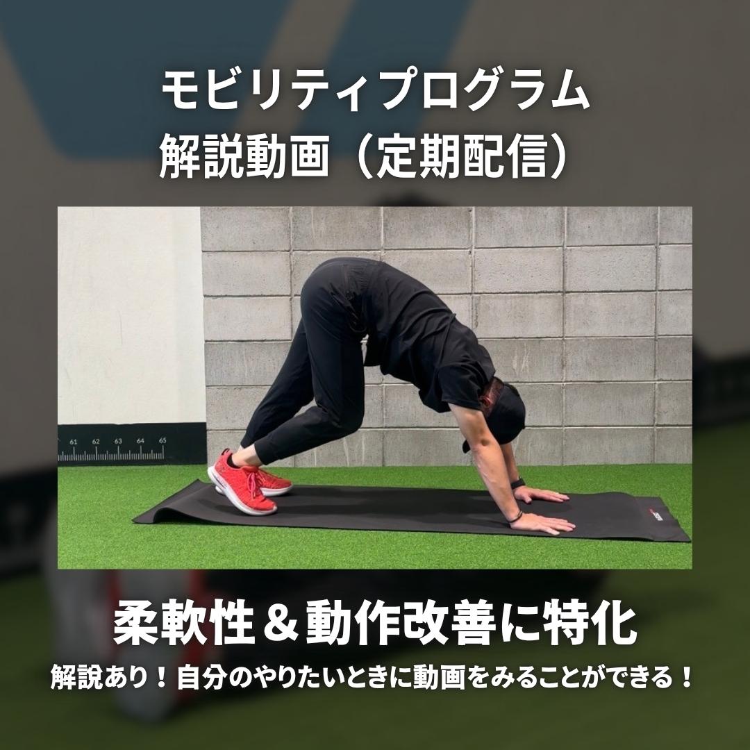 モビリティプログラム解説動画配信（定期）の画像