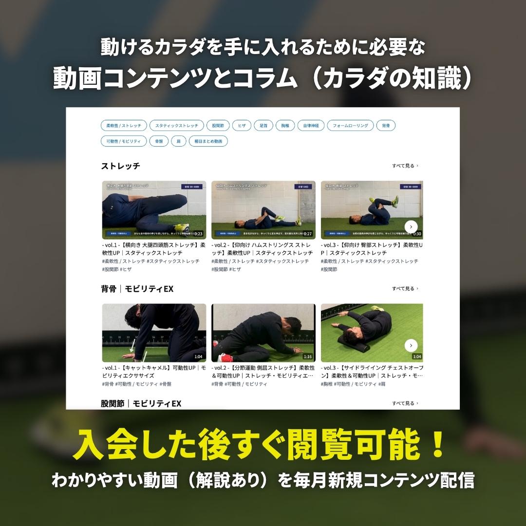 動画コンテンツの視聴の画像