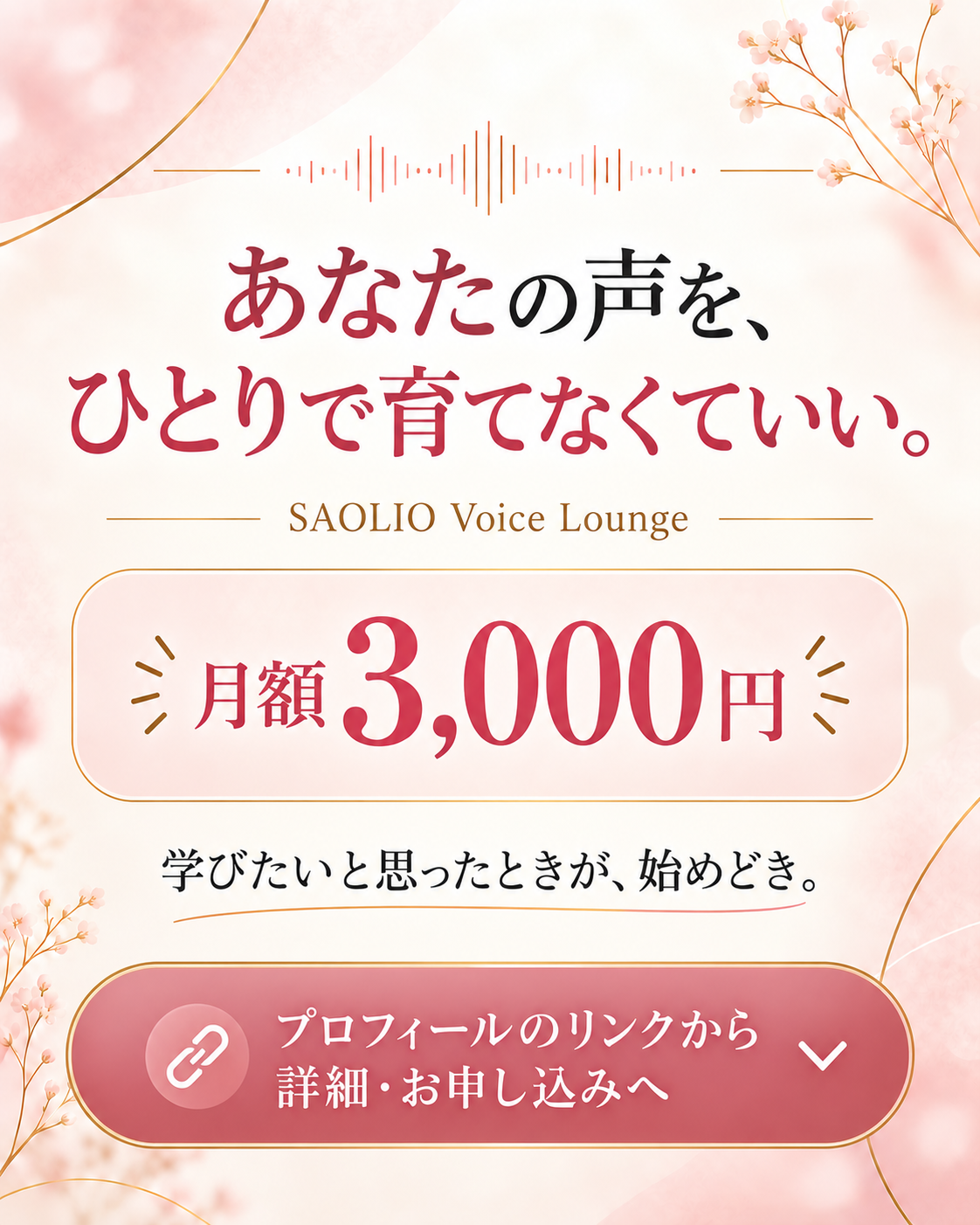 【SAOLIO Voice Lounge】入門〜初心者のための 声と宅録の継続ラウンジの画像 6